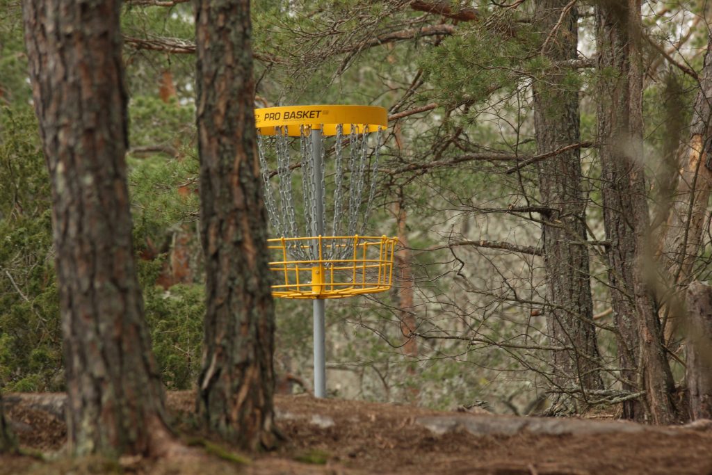 Have fun this spring with disc golf