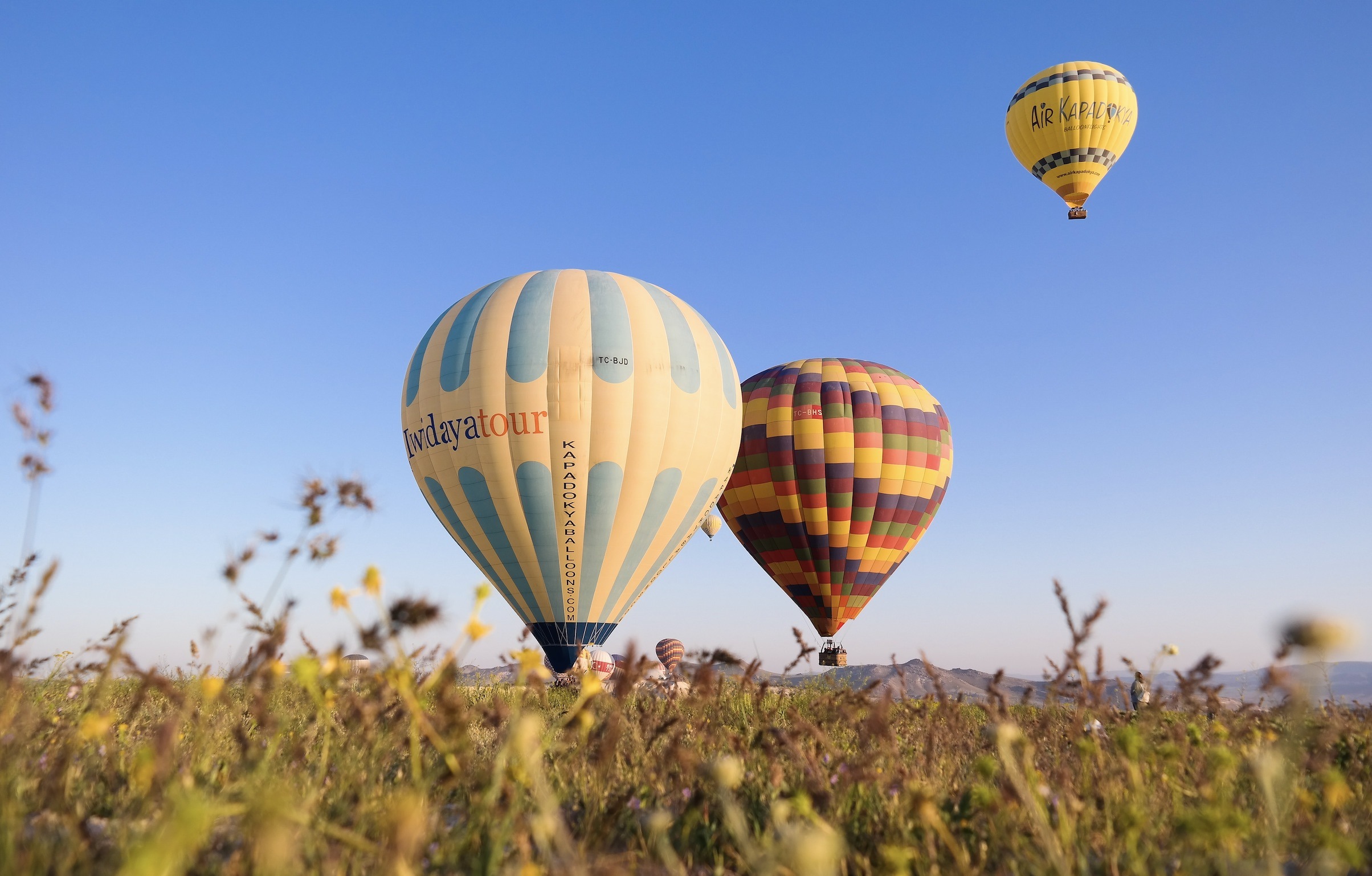 5 Fun new activities in Vienna Our top tips Xperience